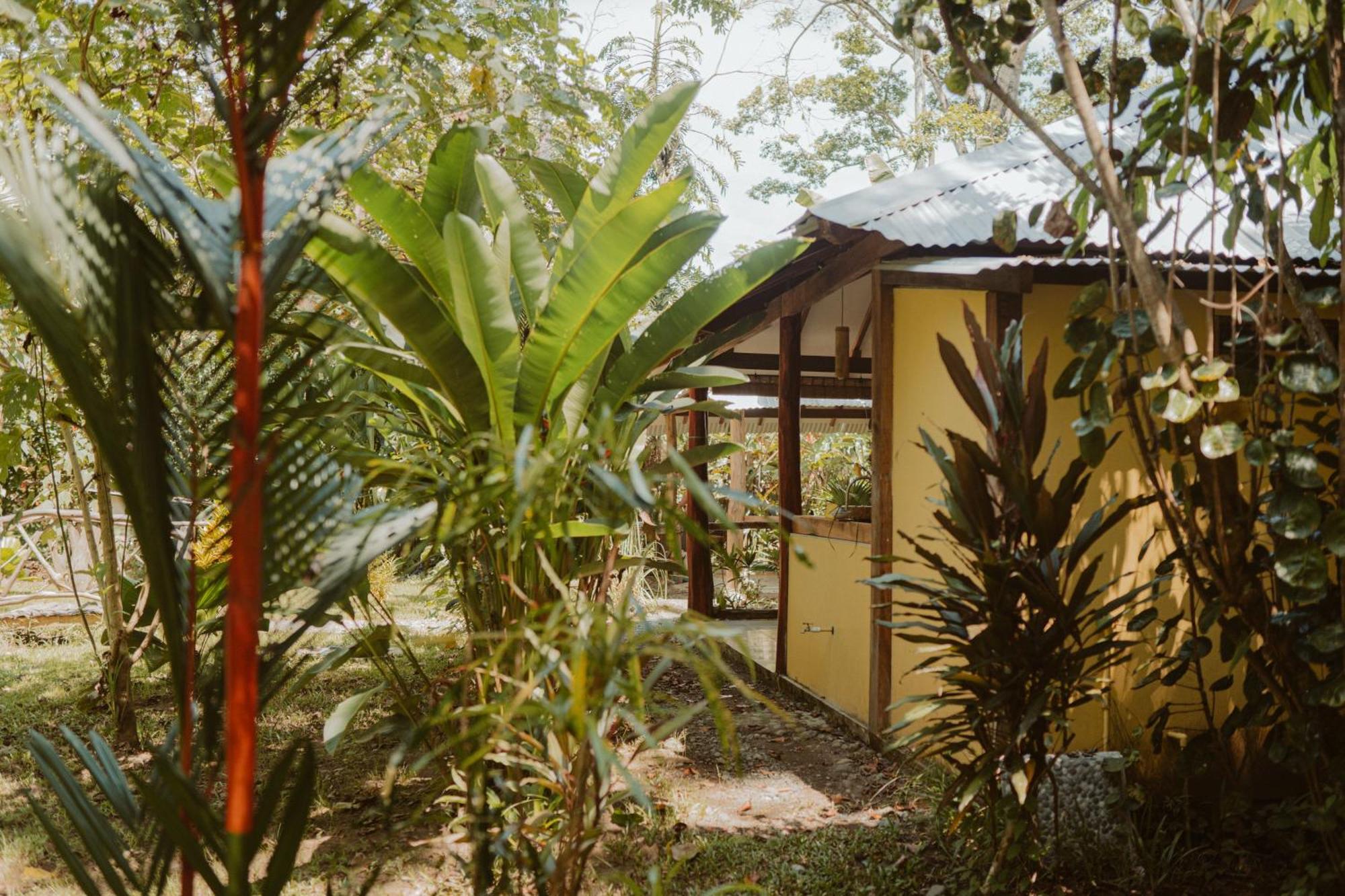 Casa De Los Amigos Caribena 까위따 외부 사진